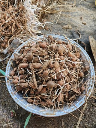 권지연.옥천.님의 기타작물 · 자유게시판 작성글 사진