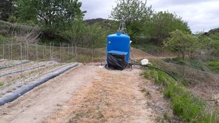 송광만님의 고추 · 제초 작성글 사진