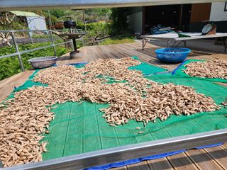 이창신님의 기타작물 · 자유게시판 작성글 사진