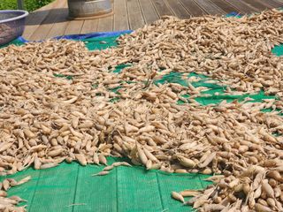 이창신님의 기타작물 · 자유게시판 작성글 사진