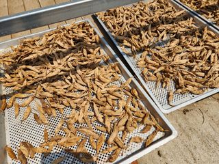 이창신님의 기타작물 · 자유게시판 작성글 사진