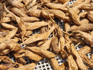 이창신님의 기타작물 · 자유게시판 작성글 사진