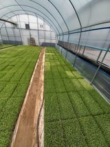 팜모닝 벼·자유게시판 게시글 이미지