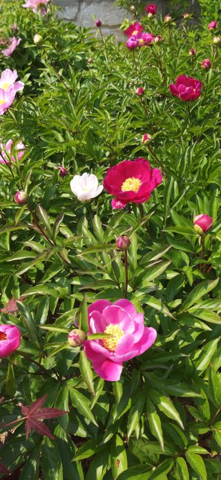 김해숙님의 자유주제 · 자유게시판 작성글 사진