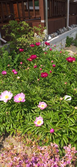 김해숙님의 자유주제 · 자유게시판 작성글 사진