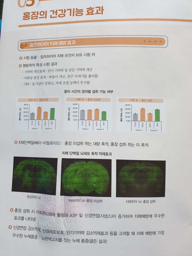홍박농원님의 장터 판매 상품 [홍잠(50g)] 첨부 사진