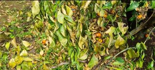 그린톡톡 오계상님의 농자재정보 · 제품정보 작성글 사진