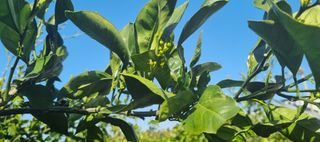 그린톡톡 오계상님의 농자재정보 · 제품정보 작성글 사진