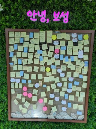 서정훈 님의 자유주제 · 자유게시판 작성글 사진