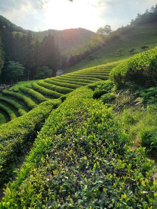 서정훈 님의 자유주제 · 자유게시판 작성글 사진