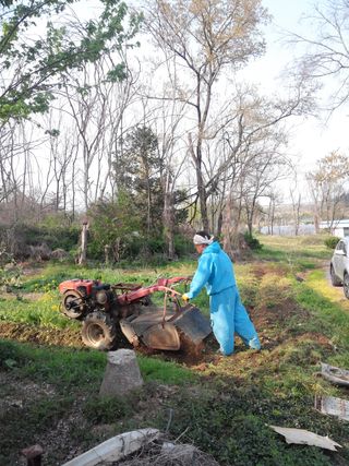박창열님의 우리동네 · 동네정보 작성글 사진