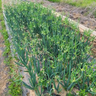 김도훈님의 작성글 사진