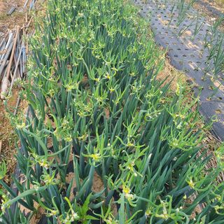 김도훈님의 작성글 사진