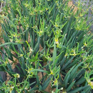 김도훈님의 작성글 사진