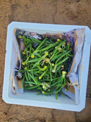 김도훈님의 작성글 사진