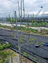 팜모닝 자유주제·자유게시판 게시글 이미지