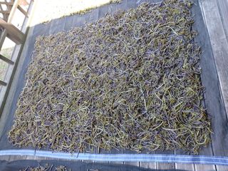 강미화님의 기타작물 · 자유게시판 작성글 사진