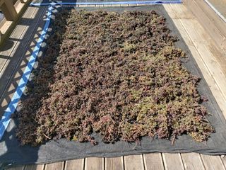 강미화님의 작성글 사진