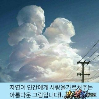 빛그린 김용화님의 자유주제 · 자유게시판 작성글 사진