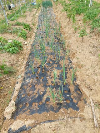 정규상님의 자유주제 · 자유게시판 작성글 사진