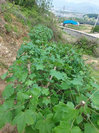 정규상님의 자유주제 · 자유게시판 작성글 사진