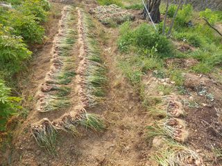 정규상님의 자유주제 · 자유게시판 작성글 사진