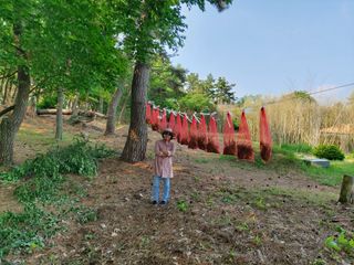 오창호님의 기타작물 · 자유게시판 작성글 사진