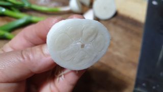 농부아내님의 마늘 · 일상 작성글 사진