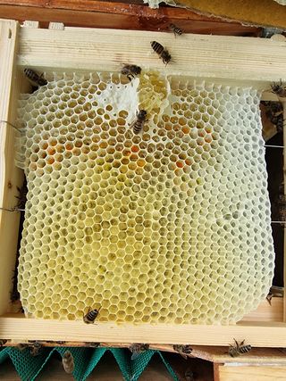 김길성님의 자유주제 · 자유게시판 작성글 사진