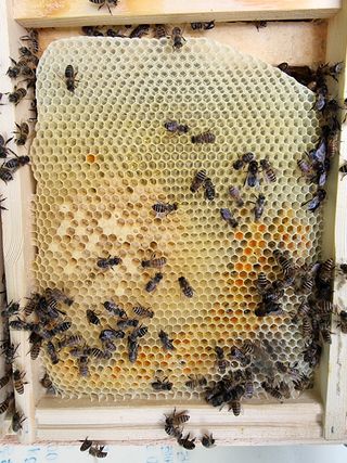 김길성님의 자유주제 · 자유게시판 작성글 사진