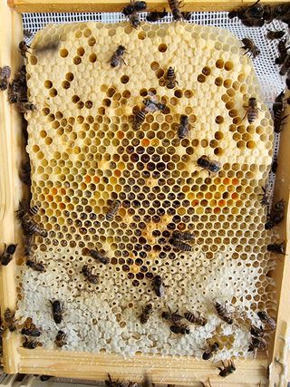 김길성님의 자유주제 · 자유게시판 작성글 사진