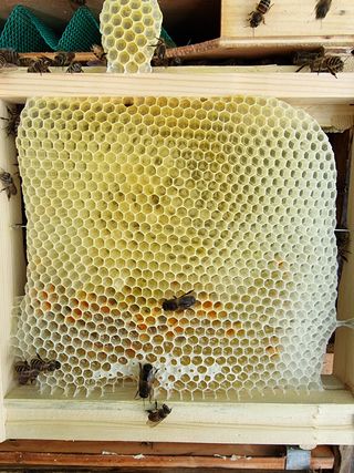 김길성님의 자유주제 · 자유게시판 작성글 사진