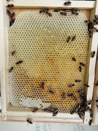 김길성님의 자유주제 · 자유게시판 작성글 사진