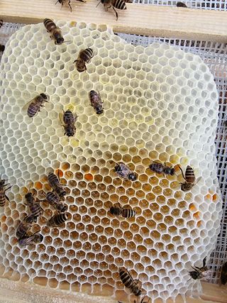 김길성님의 자유주제 · 자유게시판 작성글 사진