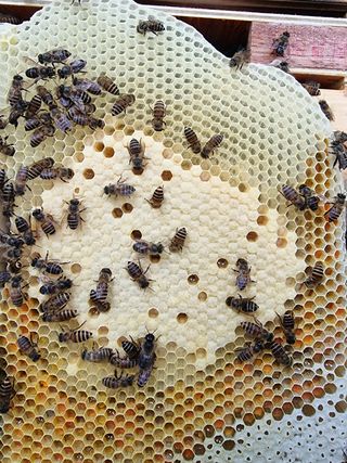 김길성님의 자유주제 · 자유게시판 작성글 사진