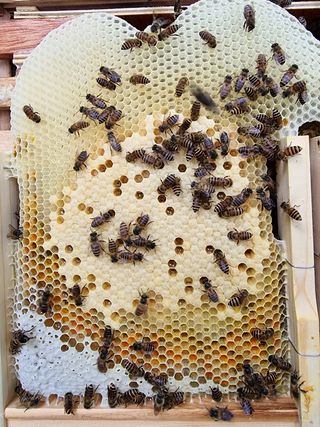 김길성님의 자유주제 · 자유게시판 작성글 사진