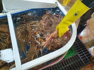 노가네수산님의 우리동네 · 동네정보 작성글 사진