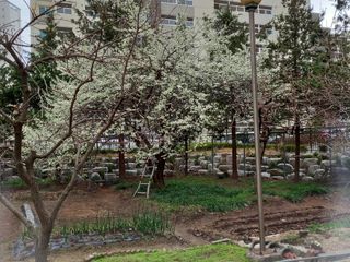 Linda님의 기타작물 · 병해충상담 작성글 사진