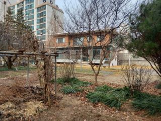 Linda님의 기타작물 · 병해충상담 작성글 사진