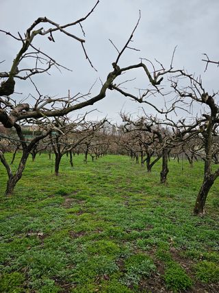 AUGER님의 자유주제 · 사진전 작성글 사진