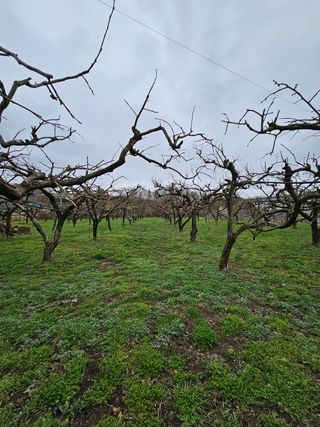 AUGER님의 자유주제 · 사진전 작성글 사진