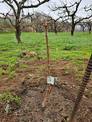 AUGER님의 자유주제 · 사진전 작성글 사진
