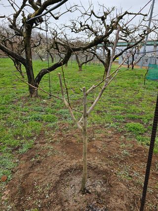 AUGER님의 자유주제 · 사진전 작성글 사진