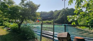 달방구님의 들깨 · 자유게시판 작성글 사진