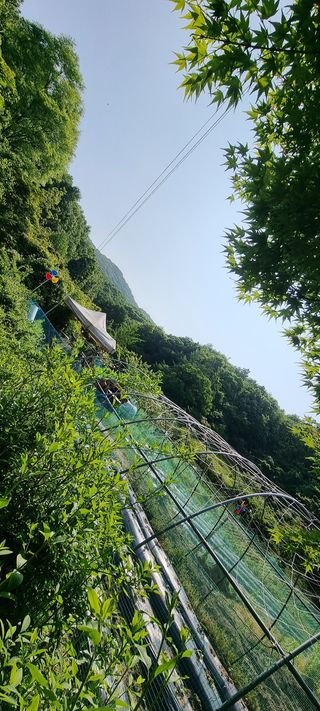 달방구님의 들깨 · 자유게시판 작성글 사진