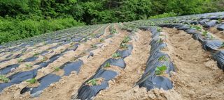 최영호님의 자유주제 · 자유게시판 작성글 사진