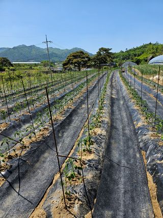 빠꼼이님의 자유주제 · 자유게시판 작성글 사진