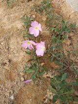 팜모닝 우리동네·동네수다 게시글 이미지