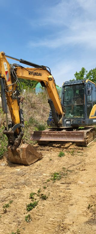 포포나무학교한치원님의 작성글 사진