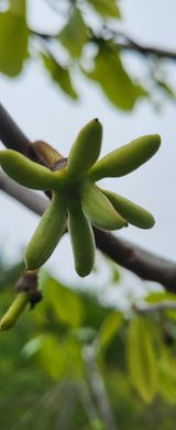 팜모닝 기타작물·자유게시판 게시글 이미지